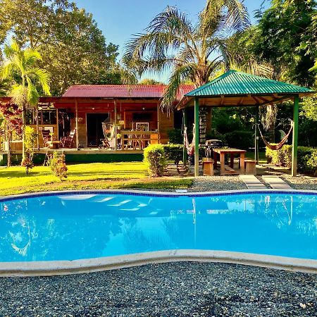 Uvita Oasis Retreat With Villa Cabins And Apartment Luaran gambar