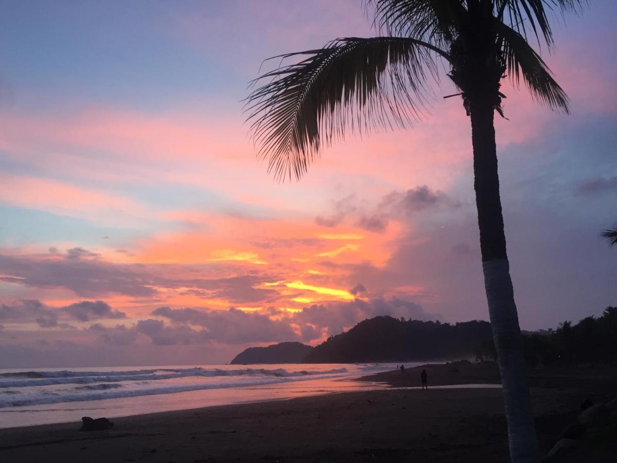Uvita Oasis Retreat With Villa Cabins And Apartment Luaran gambar