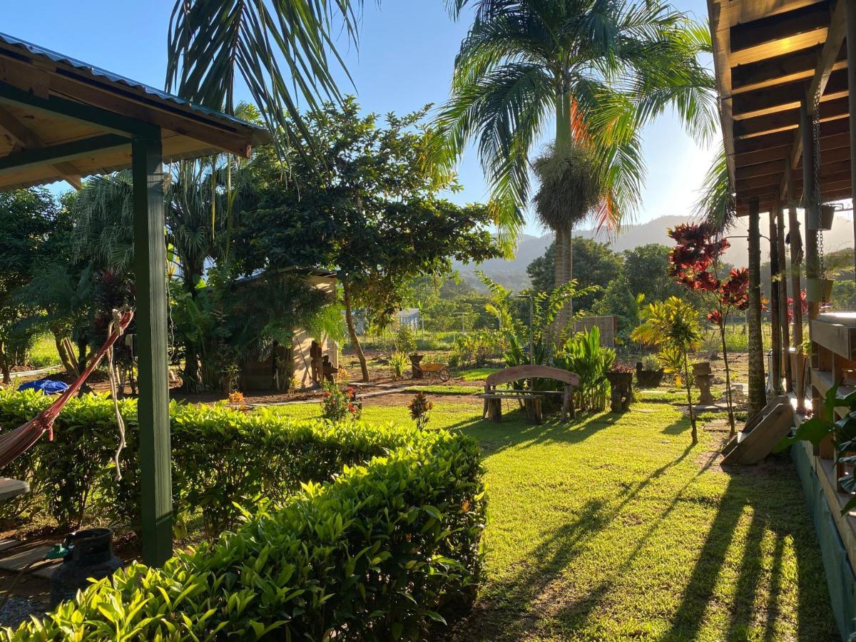 Uvita Oasis Retreat With Villa Cabins And Apartment Luaran gambar