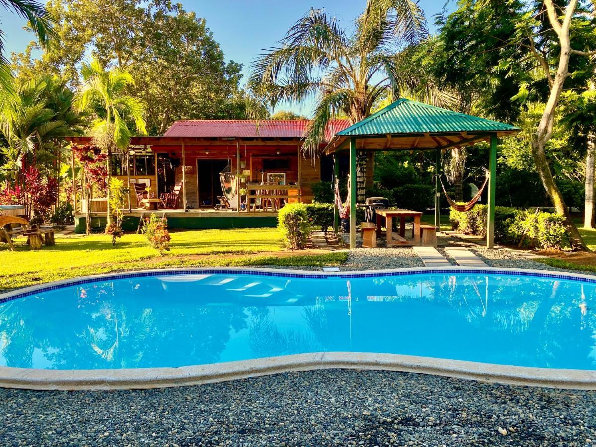 Uvita Oasis Retreat With Villa Cabins And Apartment Luaran gambar