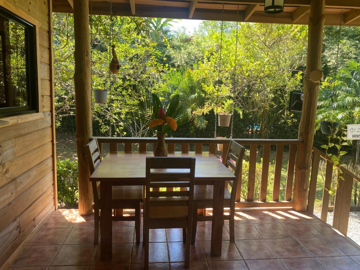 Uvita Oasis Retreat With Villa Cabins And Apartment Luaran gambar