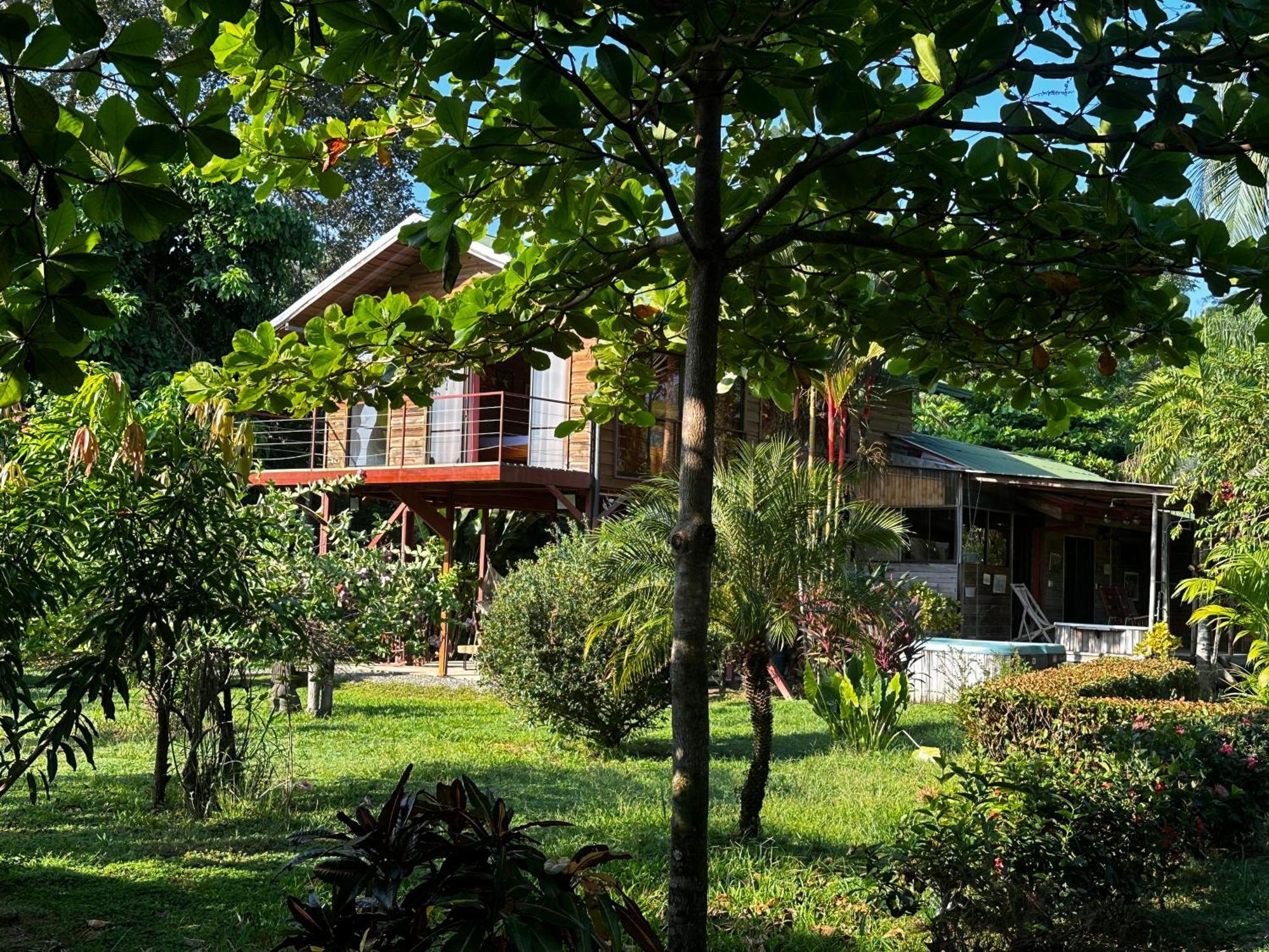 Uvita Oasis Retreat With Villa Cabins And Apartment Luaran gambar