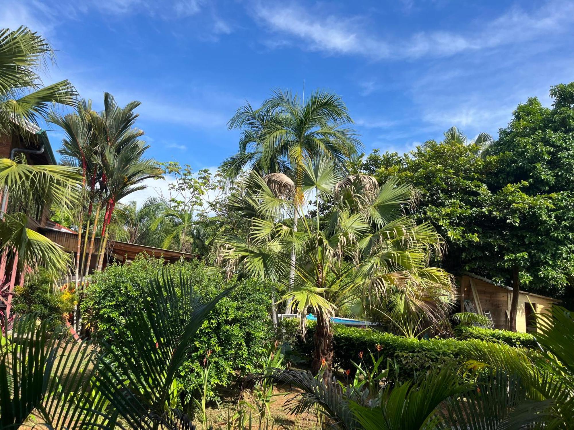 Uvita Oasis Retreat With Villa Cabins And Apartment Luaran gambar