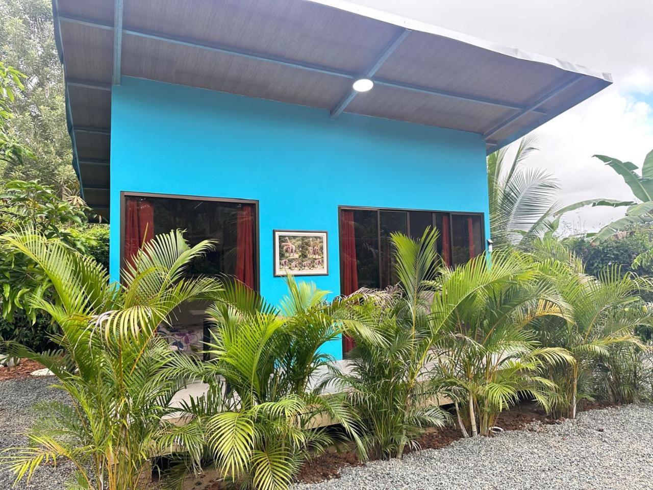 Uvita Oasis Retreat With Villa Cabins And Apartment Luaran gambar
