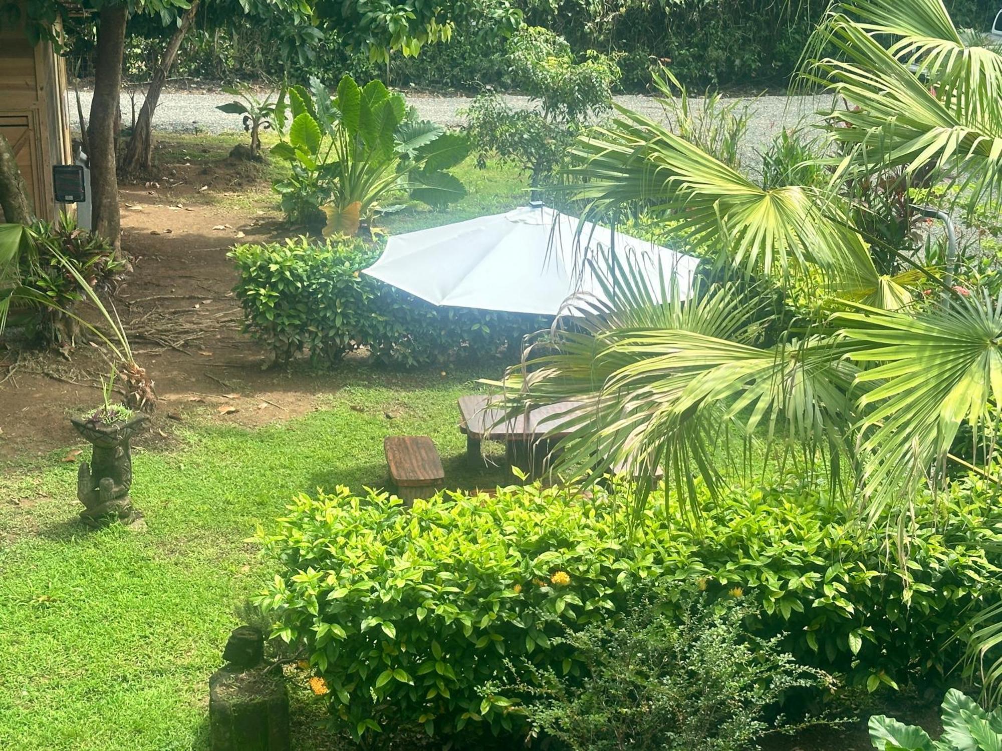 Uvita Oasis Retreat With Villa Cabins And Apartment Luaran gambar