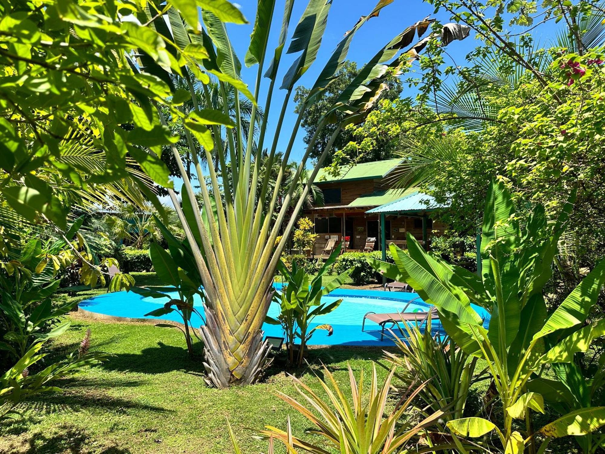 Uvita Oasis Retreat With Villa Cabins And Apartment Luaran gambar
