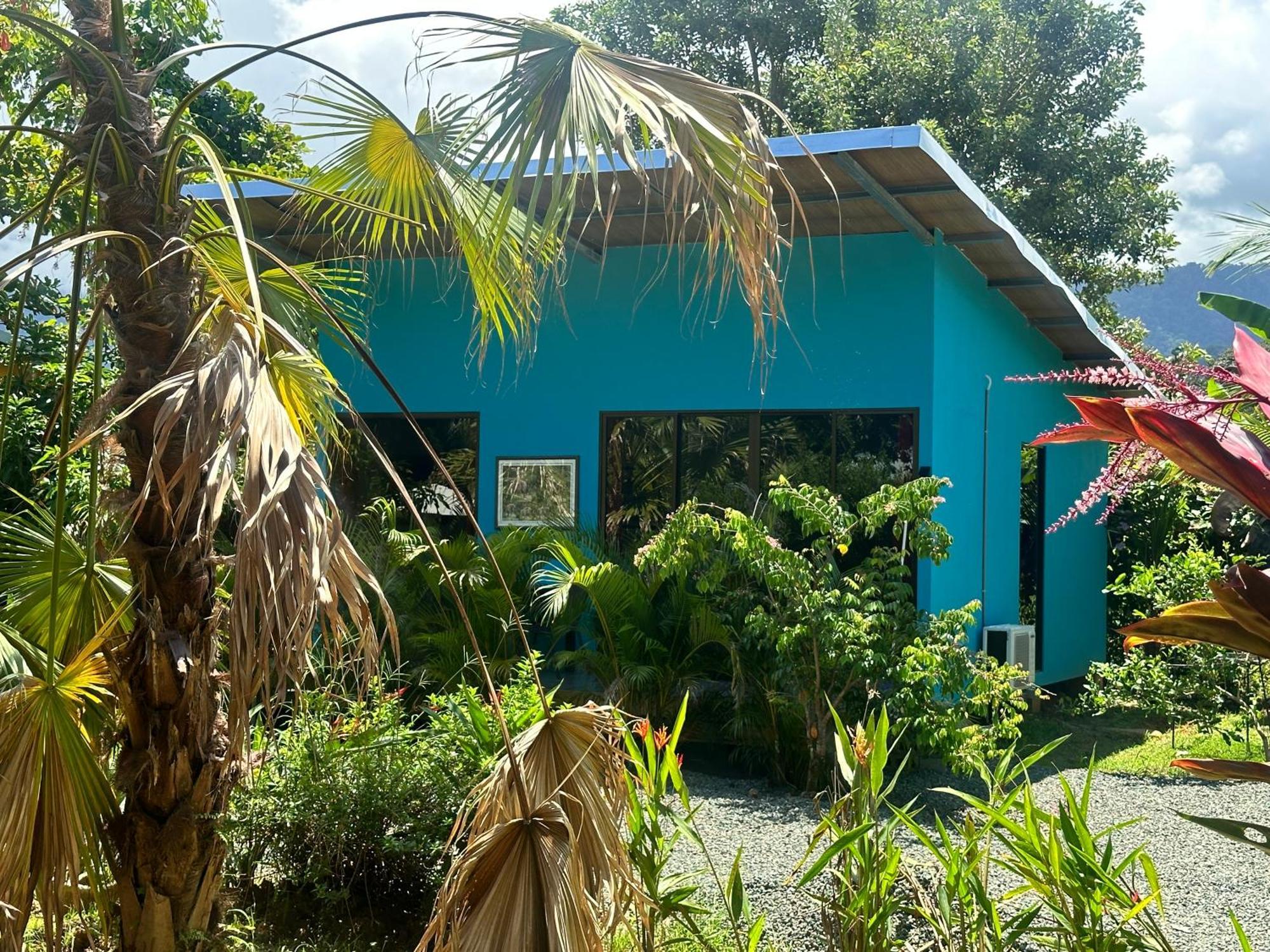 Uvita Oasis Retreat With Villa Cabins And Apartment Luaran gambar