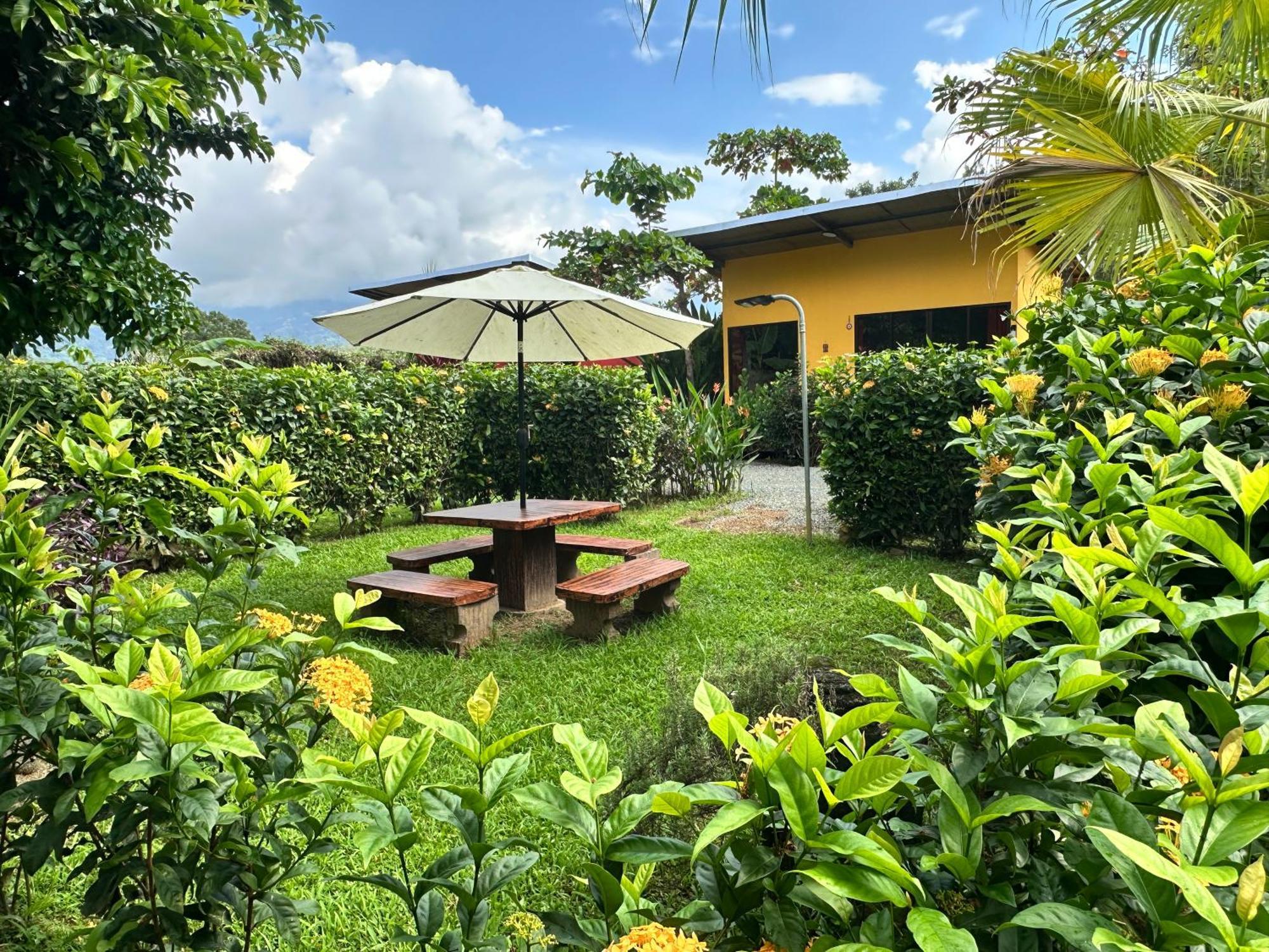 Uvita Oasis Retreat With Villa Cabins And Apartment Luaran gambar