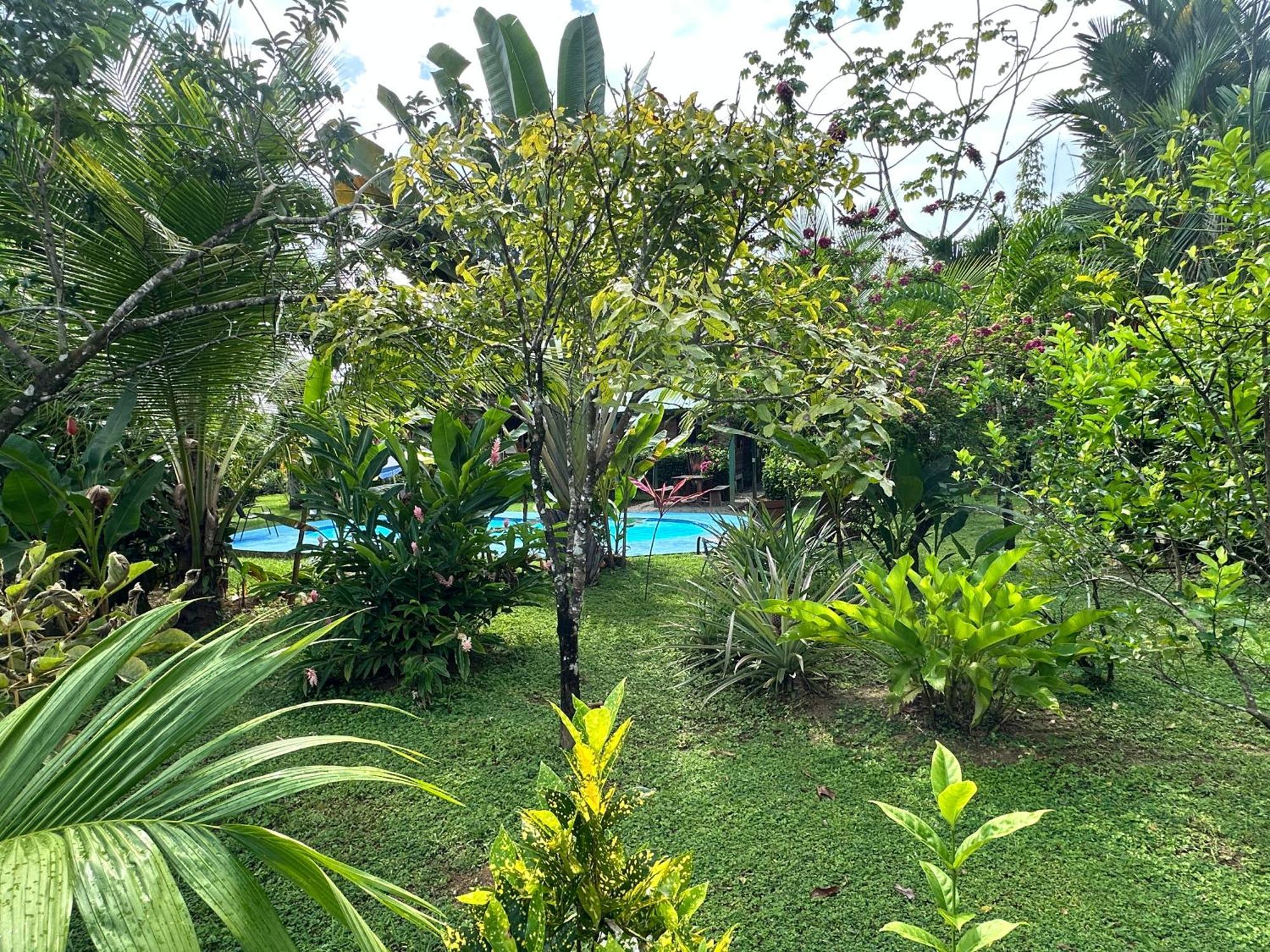Uvita Oasis Retreat With Villa Cabins And Apartment Luaran gambar