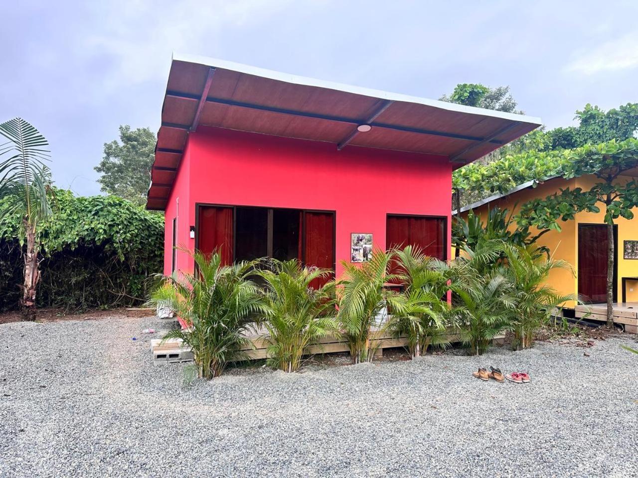 Uvita Oasis Retreat With Villa Cabins And Apartment Luaran gambar